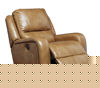 Picture of Roogan Power Recliner