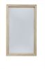 Picture of Demarlos Floor Mirror