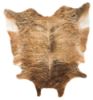 Picture of Fagan Medium Rug