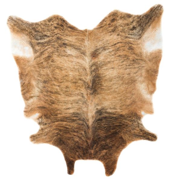 Picture of Fagan Medium Rug