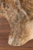 Picture of Fagan Medium Rug