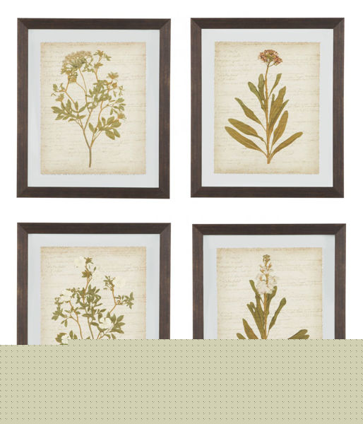 Picture of Dyani 4 Piece Wall Art Set