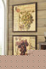 Picture of Ohini 2 Piece Wall Art Set