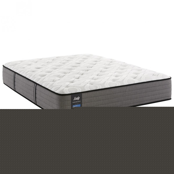 Picture of Blue Mesa Firm Mattress