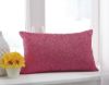 Picture of Arabelle Accent Pillow