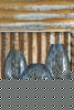 Picture of Devanand Vase