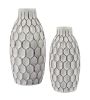 Picture of Dionna 2 Piece Vase Set