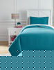 Picture of Raleda Twin Coverlet Set