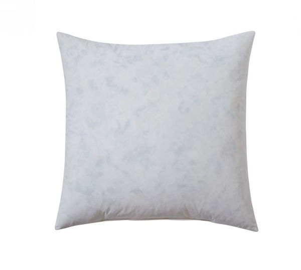 Picture of Small Pillow Insert