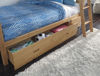 Picture of Hallytown Bunkbed