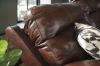 Picture of Bancker Sectional