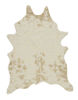 Picture of Jaxith Medium Rug