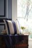 Picture of Ashok Accent Pillow
