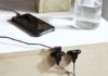 Picture of Evanni Nightstand