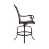 Picture of Bass Lake Patio Barstools (Set of 2 Stools)