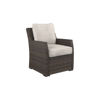 Picture of Salceda Patio Chair