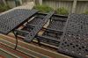Picture of Tanglevale Patio Dining Table