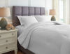 Picture of Maurilio Queen Comforter Set