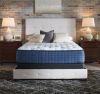 Picture of Mt Dana Firm Mattress